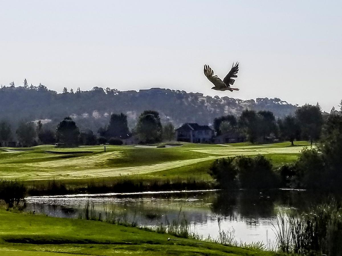Resort At Eagle Point Golf Club Lodging المظهر الخارجي الصورة